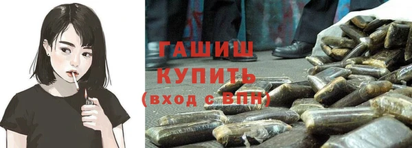 шишки Снежногорск