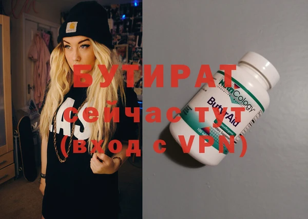 шишки Снежногорск