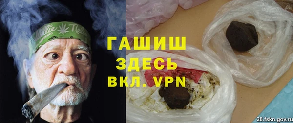 шишки Снежногорск