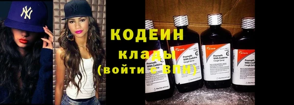 крисы Костерёво