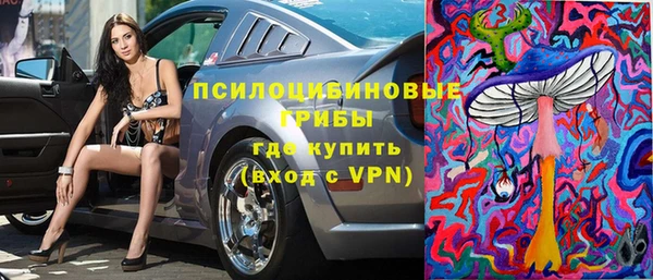 сатива Корсаков