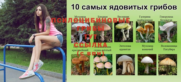 скорость Козловка