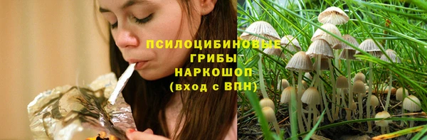 шишки Снежногорск