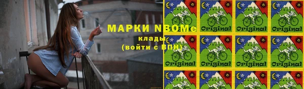 шишки Снежногорск