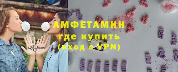 шишки Снежногорск