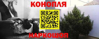 крисы Волгодонск