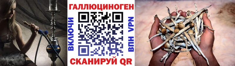 гидра ССЫЛКА Кемерово Галлюциногенные грибы мухоморы