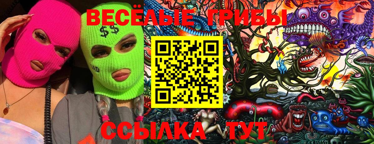 Галлюциногенные грибы Magic Shrooms Кемерово