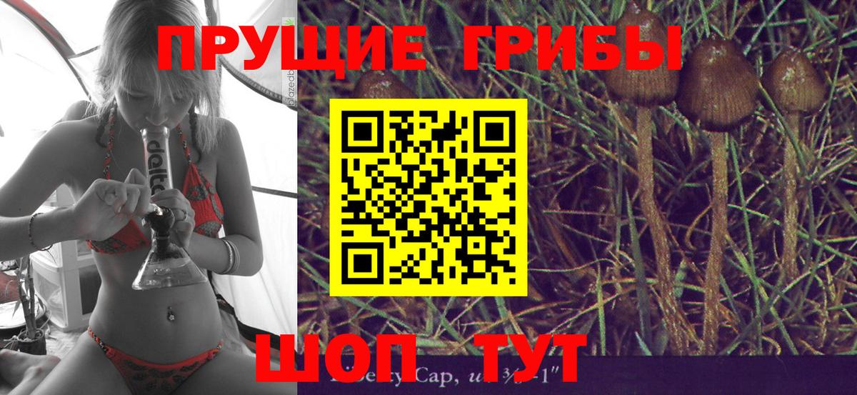 Псилоцибиновые грибы Cubensis  Кемерово  Галлюциногенные грибы прущие грибы 